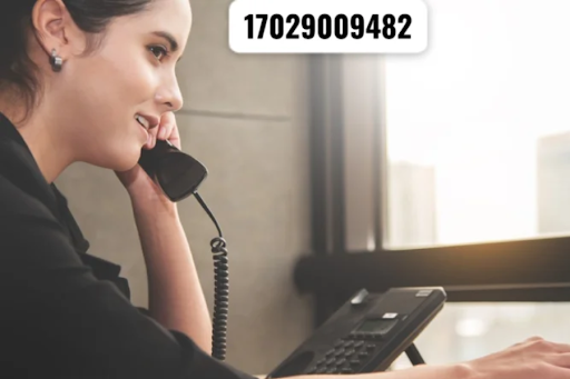 Decoding the Mystery and Significance Behind 17029009482