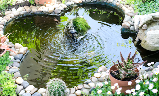 Pond