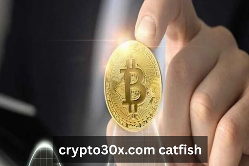 Crypto30x.com Catfish